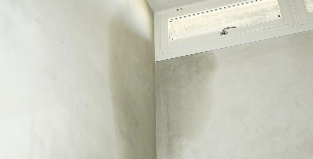 Humidité dans les murs